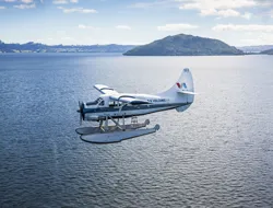 Guided Tour of Mount Tarawera & Waimangu Thermal Valley in a Floatplane from Rotorua